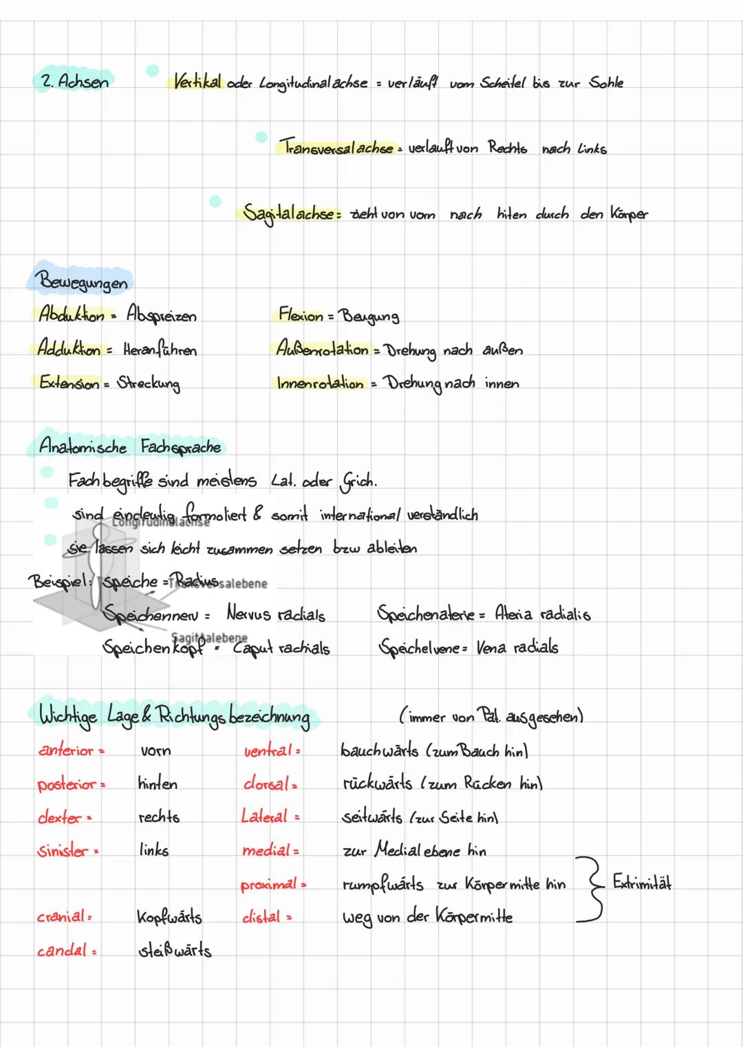# ANATOMIE & PHYSIOLOGIE

Defination der Wissenschaft

Einführung

*   Anatomie = griech = anatmeih = zerkleinern = ein teilgebiet der Morph