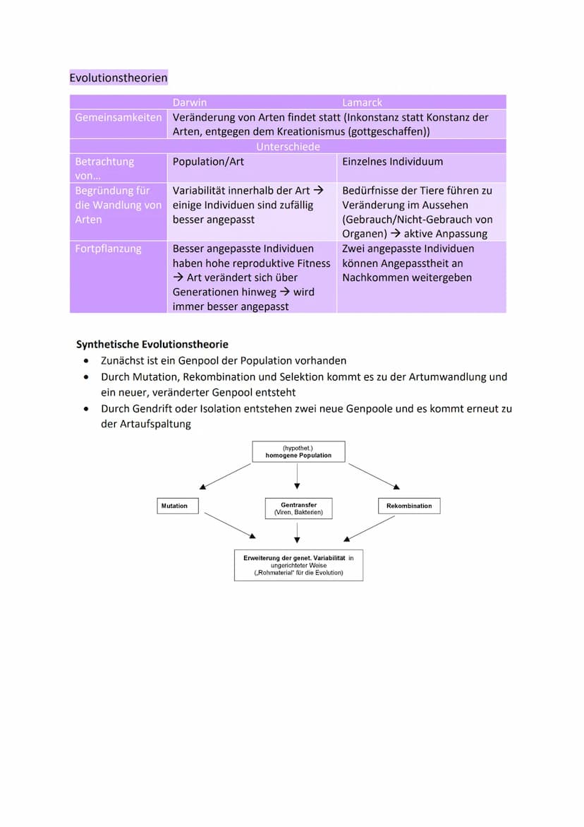 Erklärungen
Proximate Erklärung
→ Direkte Erklärung für ein Phänomen auf physiologischer oder chemischer Ebene im
Inneren eines Individuums
