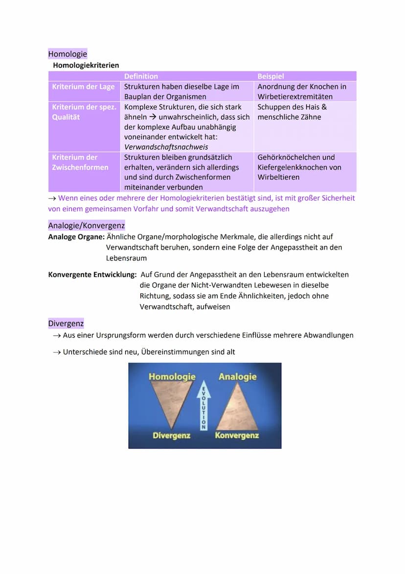 Erklärungen
Proximate Erklärung
→ Direkte Erklärung für ein Phänomen auf physiologischer oder chemischer Ebene im
Inneren eines Individuums
