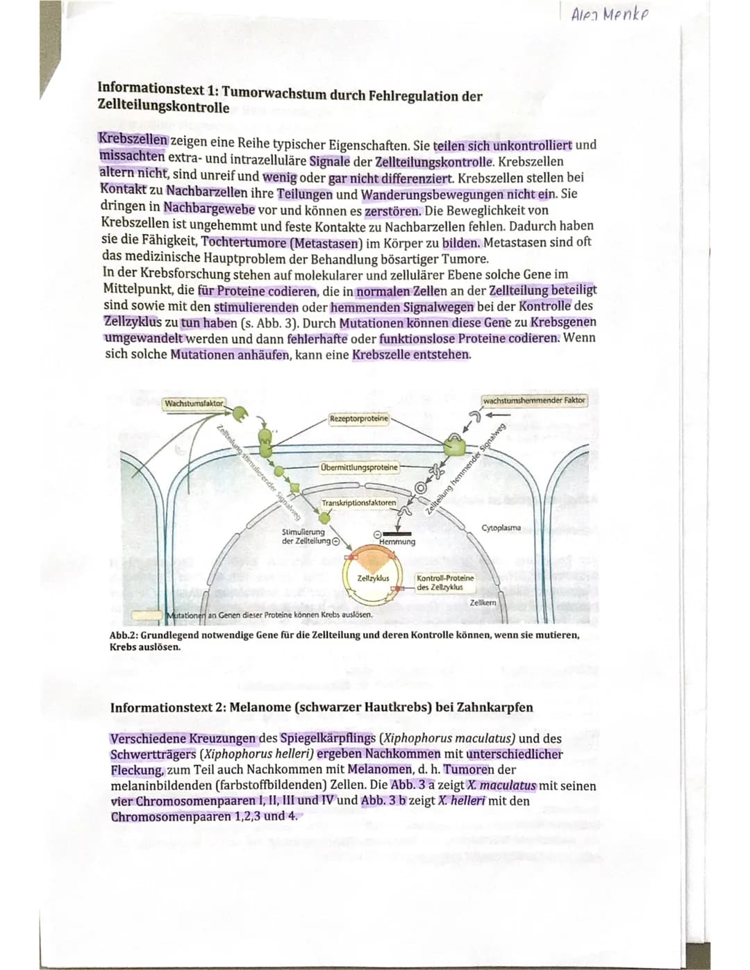 GK Bio 12.1 (DIH)
Name: Alea Menke
Thema: Genetik
Klausur 2
12.01.2021
Aufgabe I: Genregulation bei Eukaryoten und Tumorwachstum durch
Fehlr