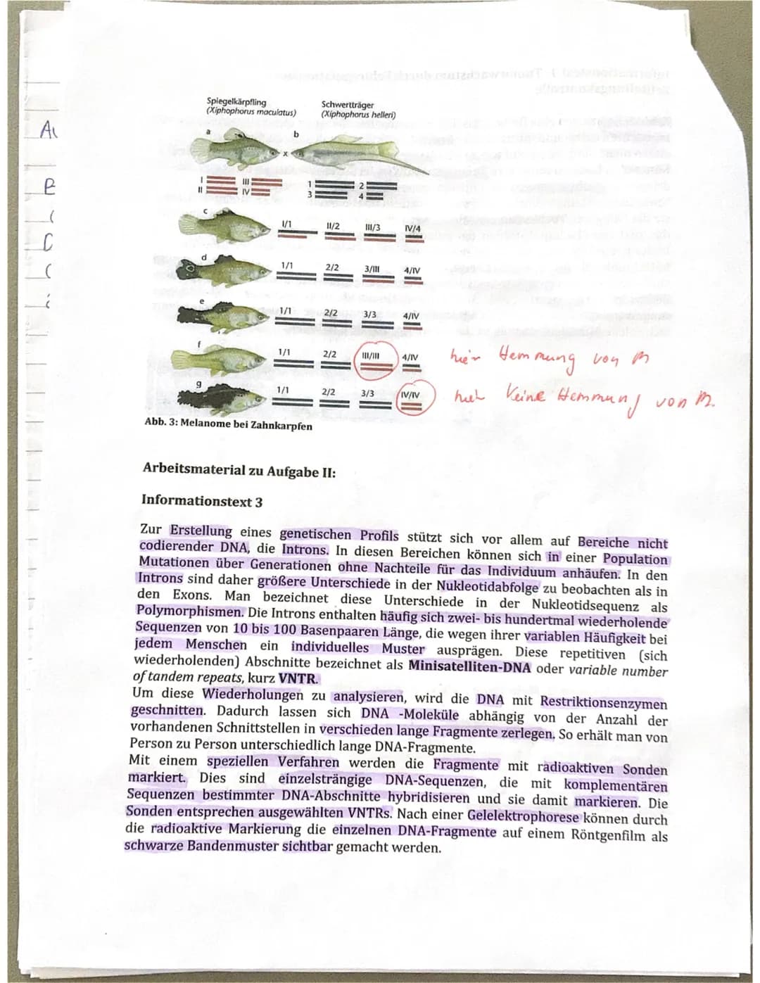 GK Bio 12.1 (DIH)
Name: Alea Menke
Thema: Genetik
Klausur 2
12.01.2021
Aufgabe I: Genregulation bei Eukaryoten und Tumorwachstum durch
Fehlr