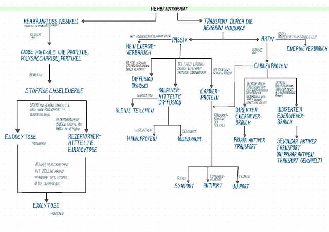 Know Concept Map Membrantransport thumbnail
