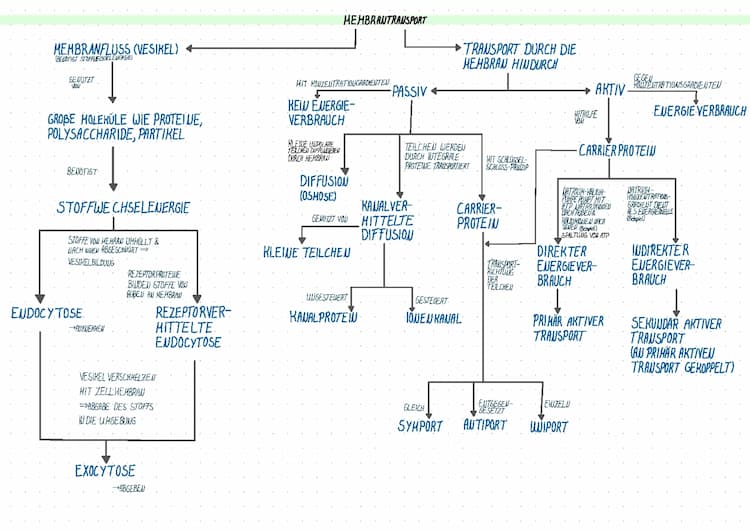 Know Concept Map Membrantransport thumbnail