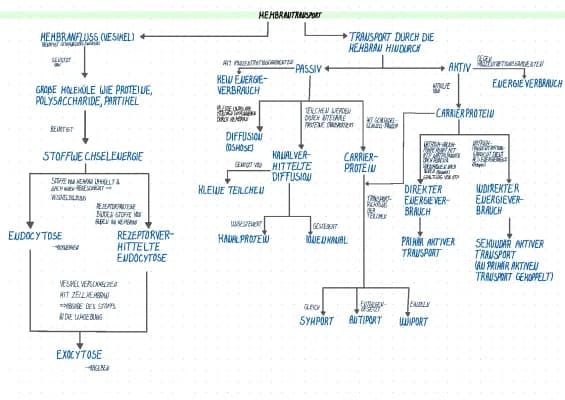 Know Concept Map Membrantransport thumbnail