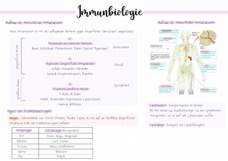 Know Abi Zusammenfassung Immunbiologie  thumbnail