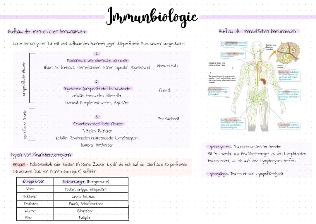 Abi Zusammenfassung: Immunbiologie Aufgaben & Spezifische und Unspezifische Immunabwehr