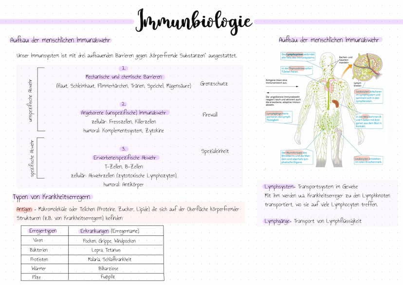Aufbau der menschlichen Immunabwehr
Unser Immunsystem ist mit drei aufbauenden Barrieren gegen körperfremde Substanzen" ausgestattet.
unspez