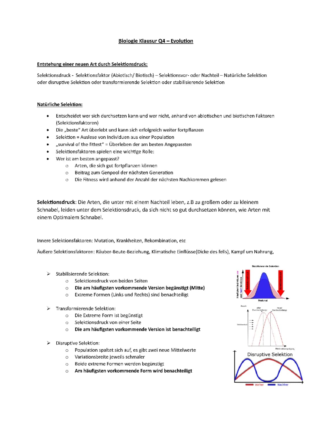 BIOLOGIE: Evolution Lernzettel