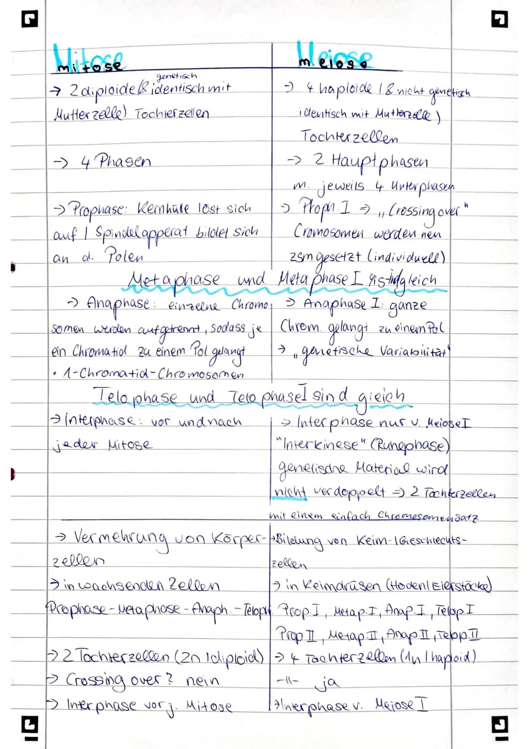 miltos
genetisch
→ 2 diploide & identisch mit
Mutterzelle) Tochterzellen
- 4 Phasen
→ Prophase: Kemhule lost sich
auf I Spindel apperat bild