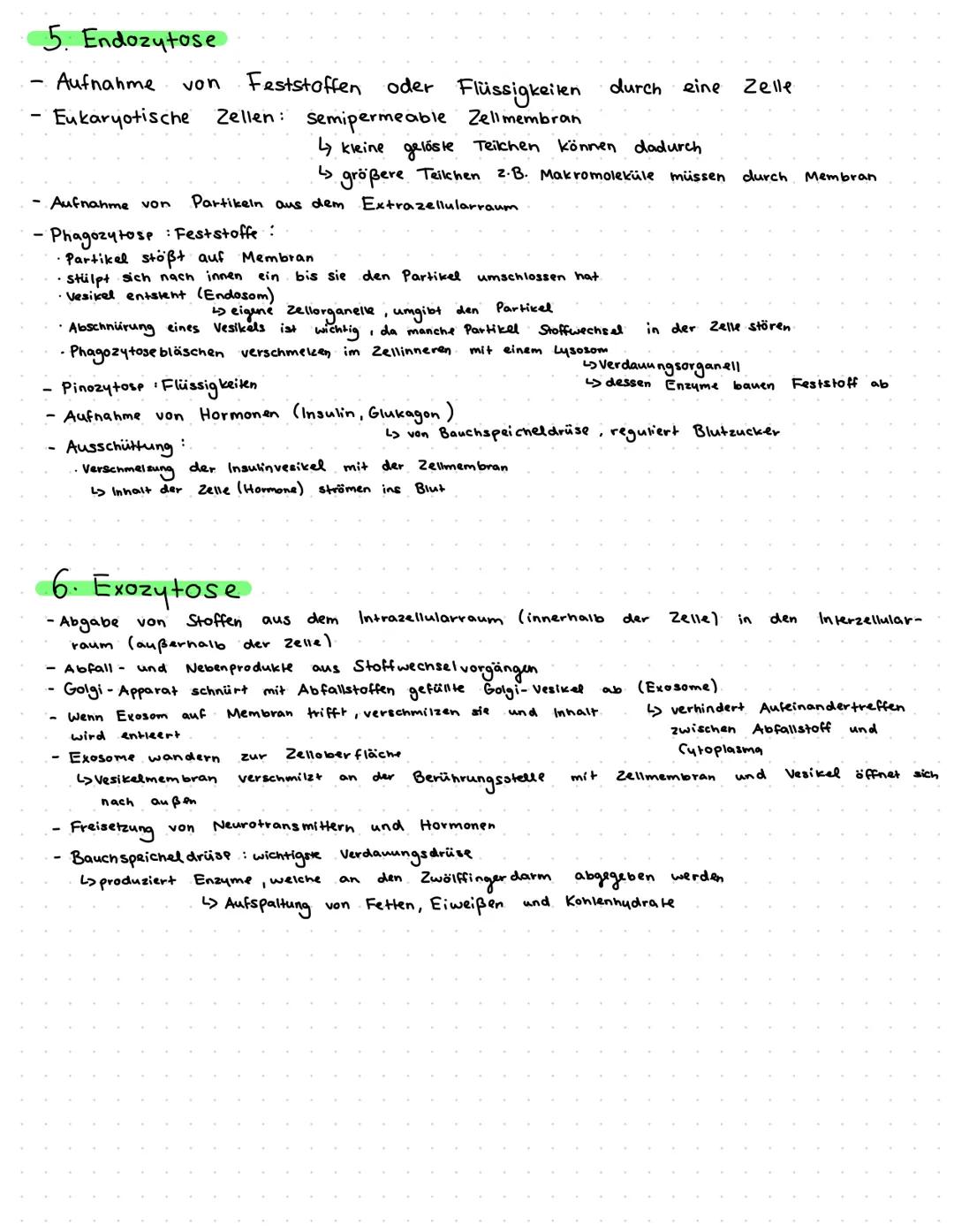 Zellbiologie
1/ Zellorganellen
Basics:
· Eukaryoten: Tierzellen/Pflanzenz.: viele Organellen
- Prokaryoten: Bakterienzelle: fast keine (Einz