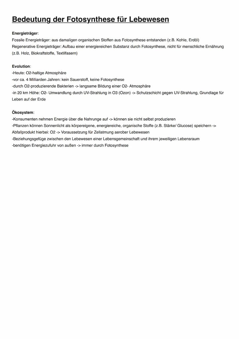ASSIMILATION Bedeutung der Fotosynthese für Lebewesen
Energieträger:
Fossile Energieträger: aus damaligen organischen Stoffen aus Fotosynthe