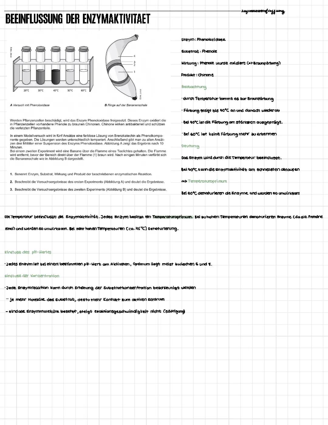 Wie Temperatur und pH-Wert die Enzymaktivität beeinflussen