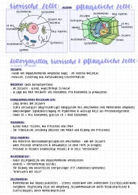 Know Pflanzenzelle & Tierzelle thumbnail