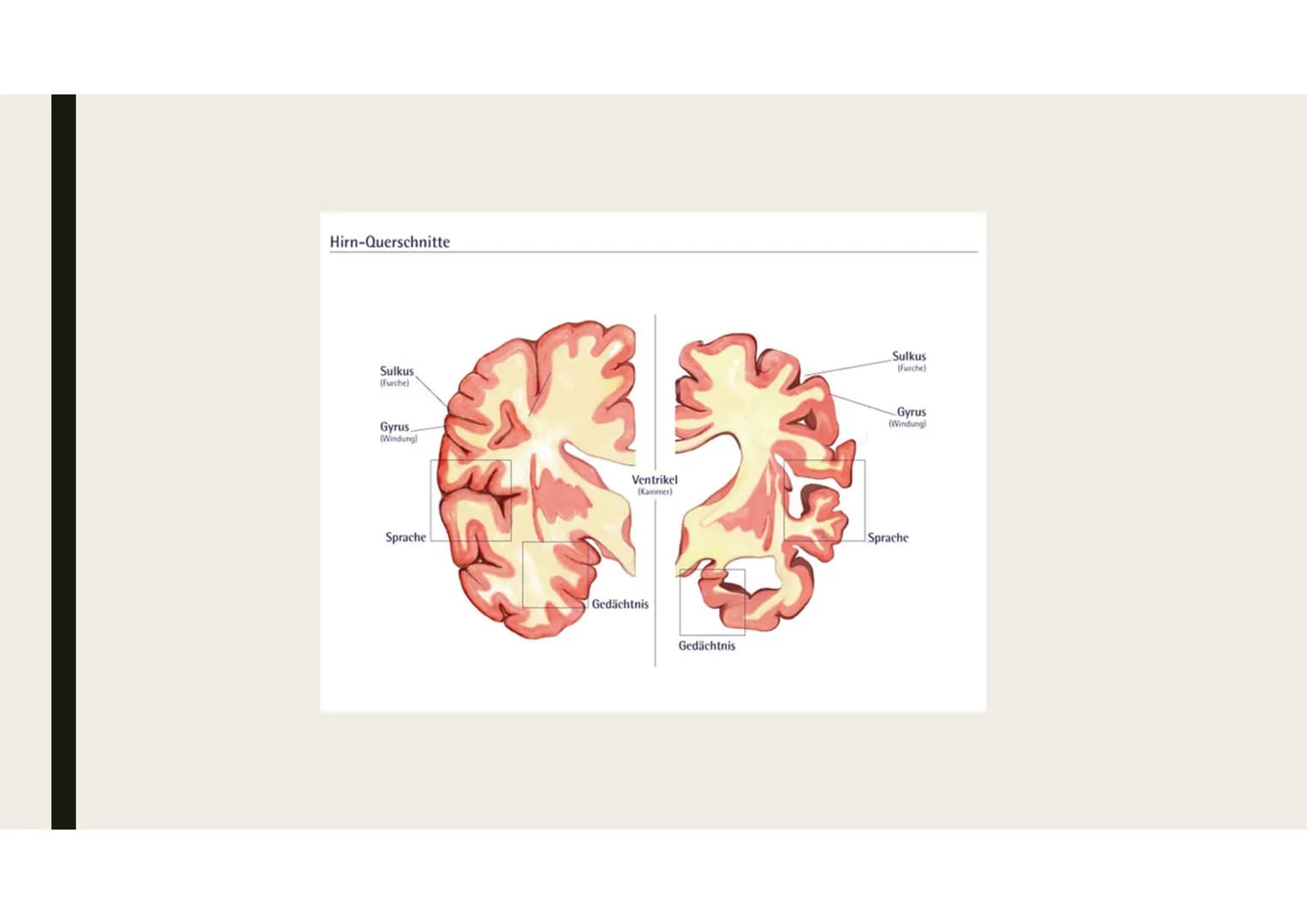 
<h2 id="wasistalzheimer">Was ist Alzheimer?</h2>
<p>Alzheimer ist eine neurodegenerative Erkrankung, die die geistige Leistungsfähigkeit ei