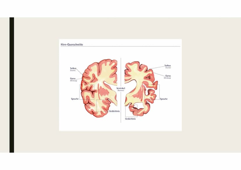 
<h2 id="wasistalzheimer">Was ist Alzheimer?</h2>
<p>Alzheimer ist eine neurodegenerative Erkrankung, die die geistige Leistungsfähigkeit ei