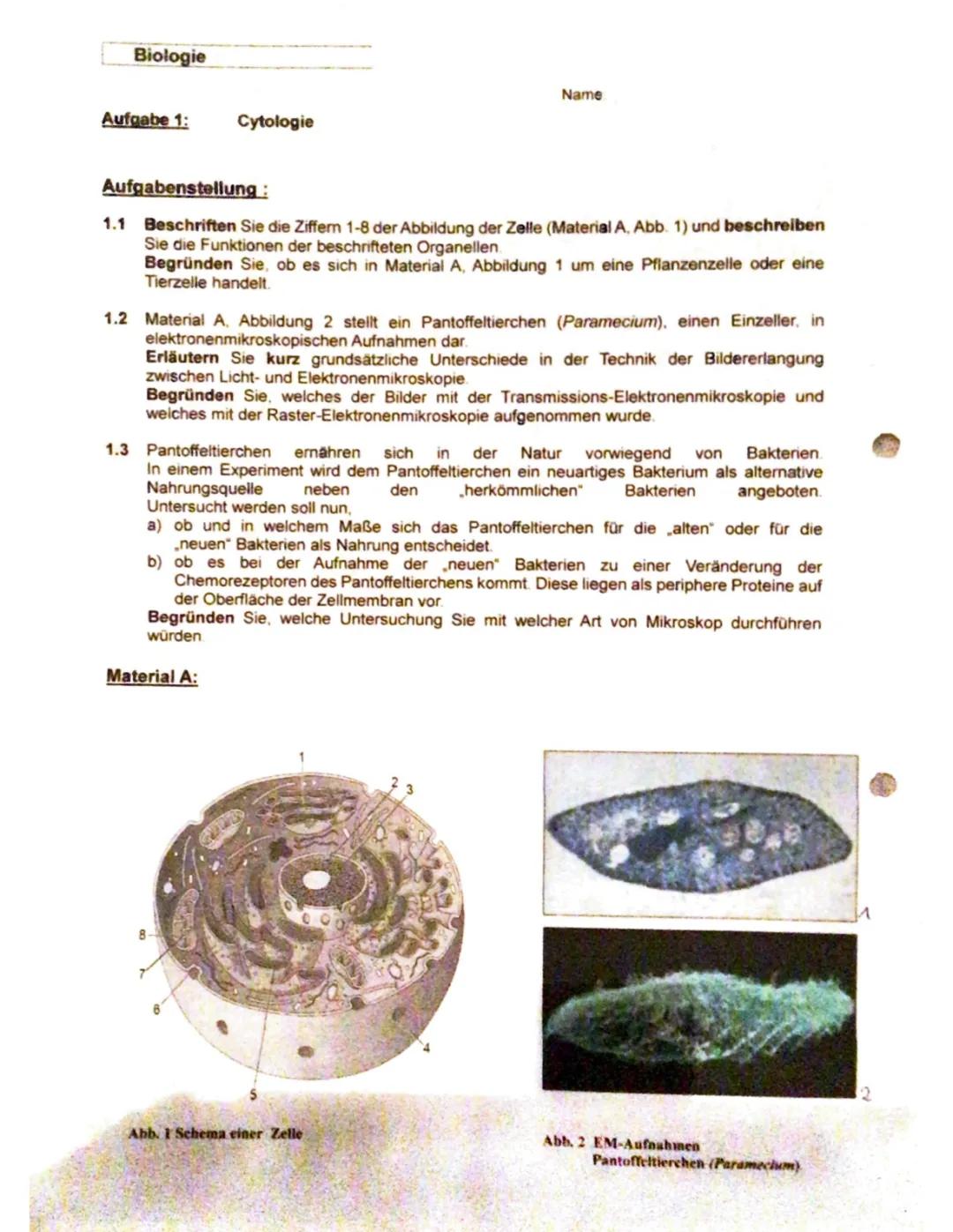 Bio Klausur 11. Klasse: Zellen, Zellbiologie und Biomembran Aufgaben