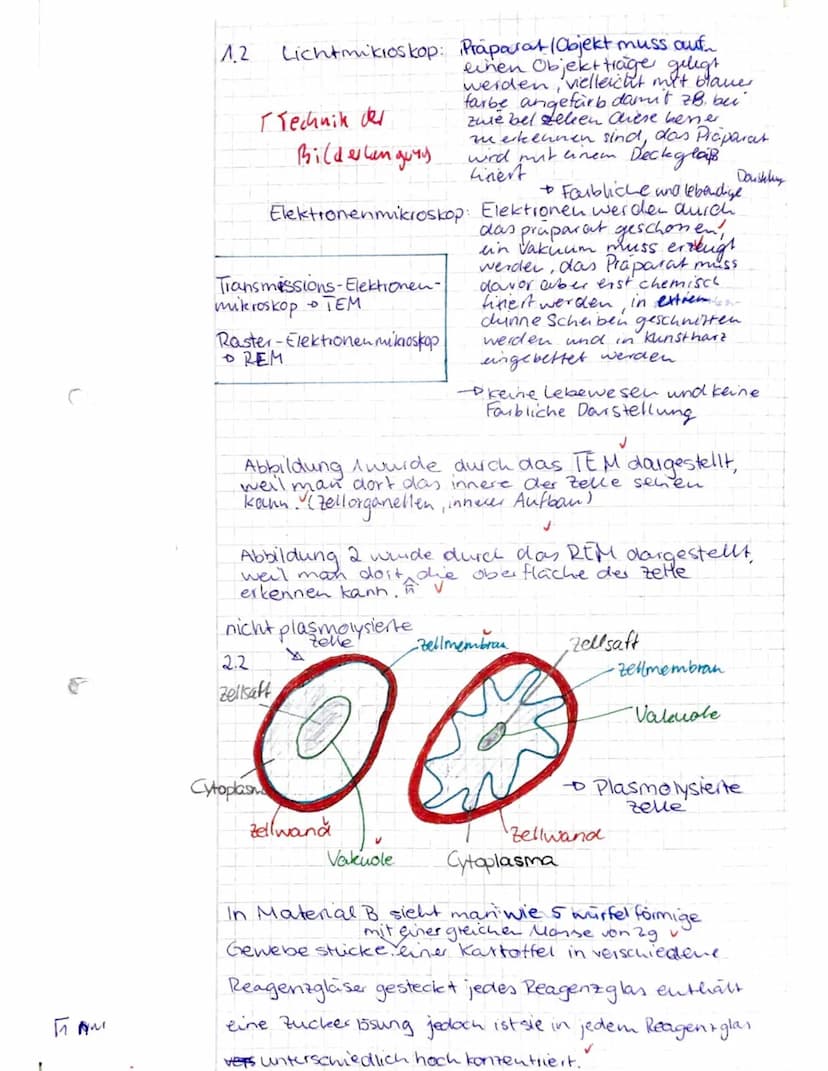
<h2 id="aufgabe1cytologie">Aufgabe 1: Cytologie</h2>
<h3 id="beschriftungderzelleundorganellen">Beschriftung der Zelle und Organellen</h3>
