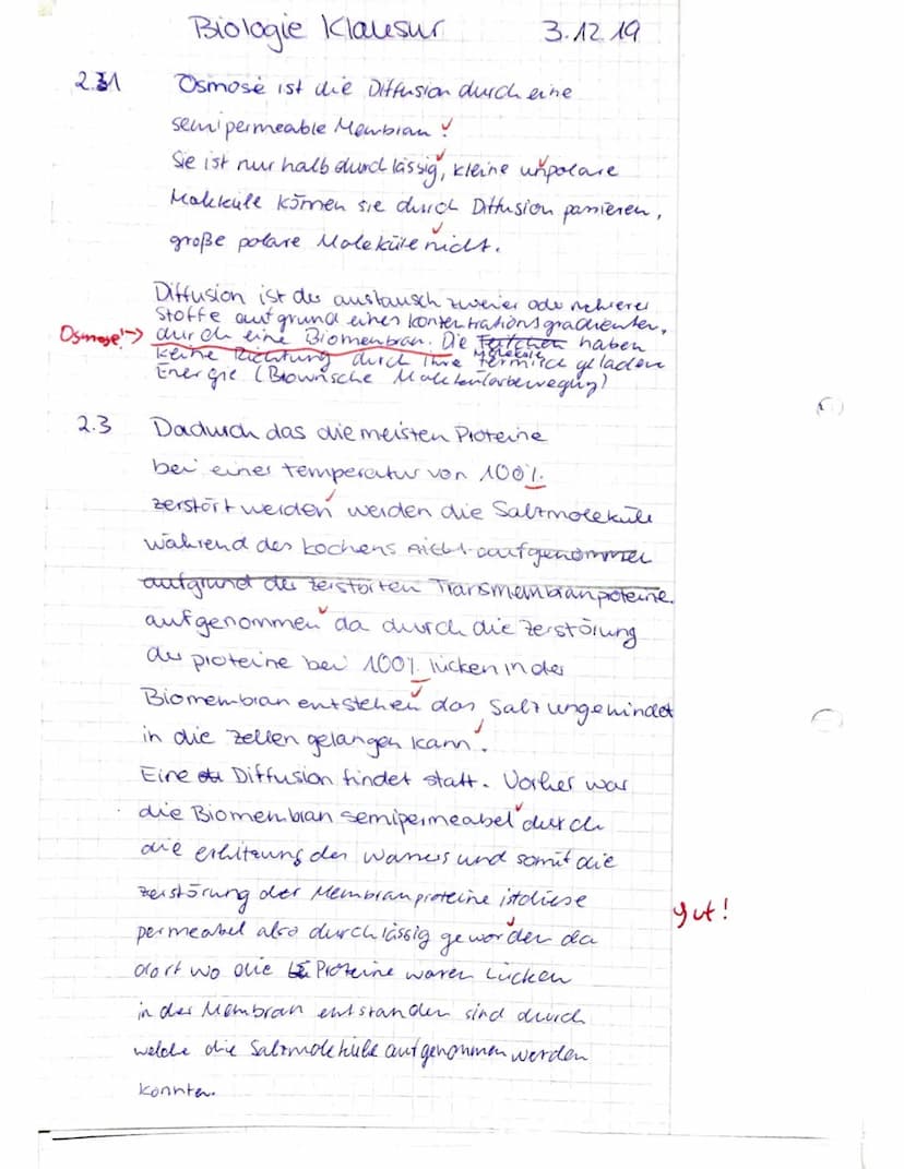 
<h2 id="aufgabe1cytologie">Aufgabe 1: Cytologie</h2>
<h3 id="beschriftungderzelleundorganellen">Beschriftung der Zelle und Organellen</h3>

