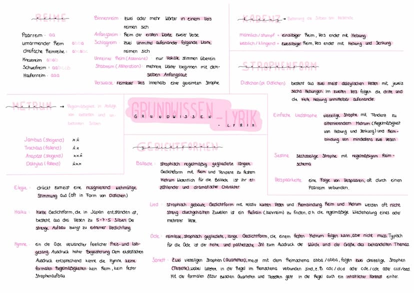 sevene arana
L
↳ literarische Jugendbewegung innerhalb der Epoche der Aufklärung
4 neuer Humanismus (Emotionen, Affekt u. Gefühl als Grundla