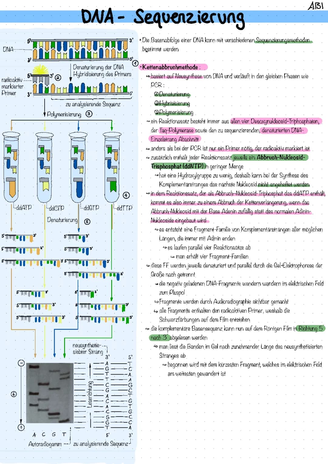 DNA-Sequenzierung