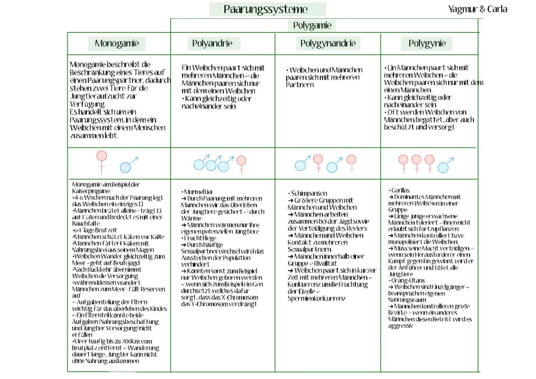 Paarungssysteme