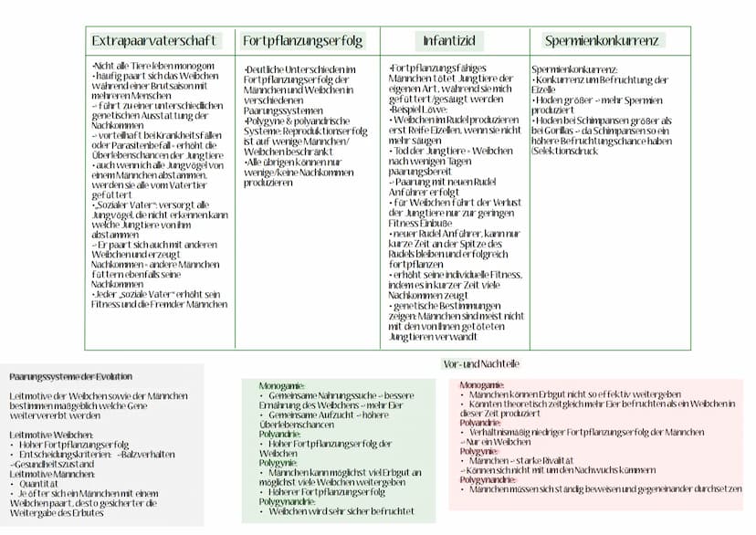 Monogamie
Monogamie beschreibt die
Beschränkung eines Tieres auf
einen Paarungspartner, dadurch
stehen zwei Tiere für die
Jungtieraufzucht z