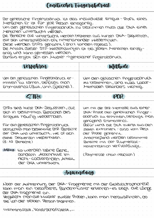 Know Genetischer Fingerabdruck thumbnail