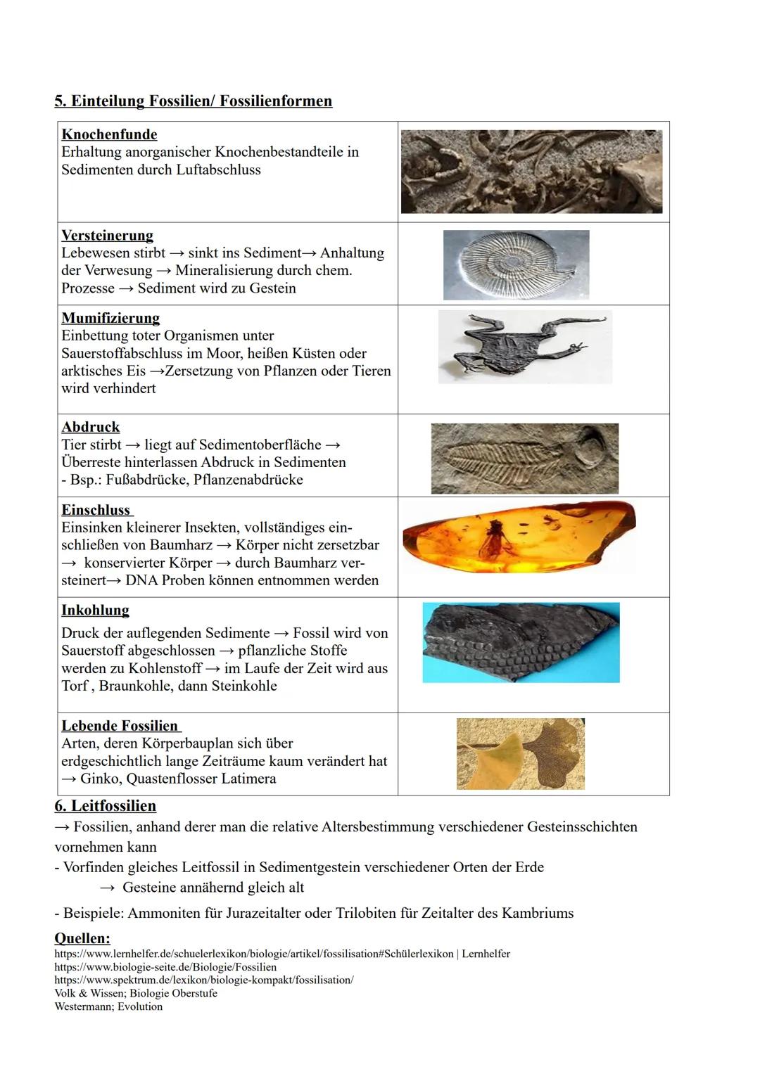Viktoria Ulrich

Fossilien

12.02.2022

1. Definition
Bezeichnung für erhaltene Reste oder Spuren ausgestorbener Lebewesen vergangener Erdze