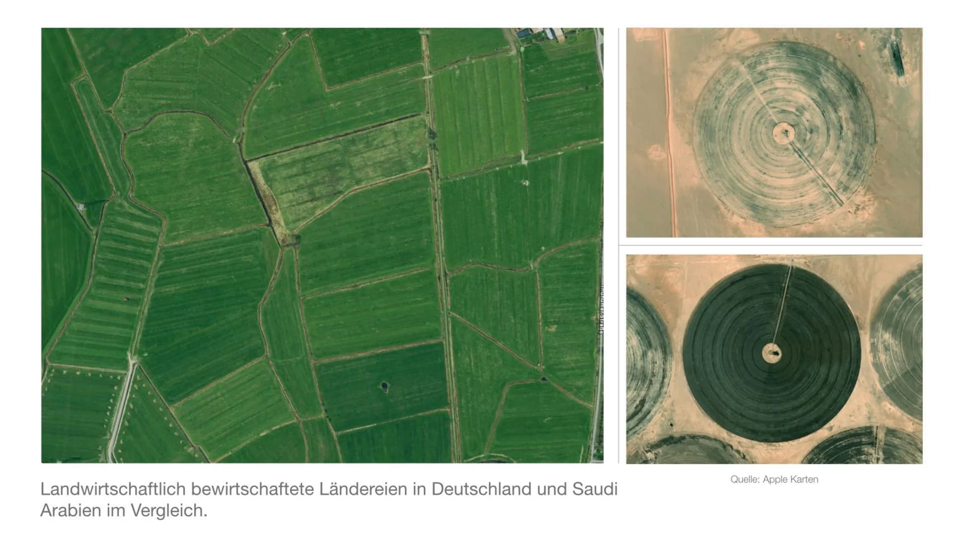 Saudi-Arabien
Wie nachhaltig ist die Landwirtschaft in Saudi-Arabien? Inhaltsverzeichnis
●
●
●
●
●
●
●
●
●
●
●
●
Lokalisierung
Aktuelle Situ