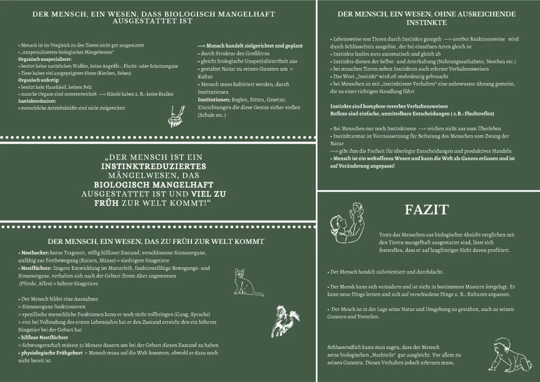 Warum der Mensch keine Instinkte hat und als Mängelwesen und Kulturwesen gilt