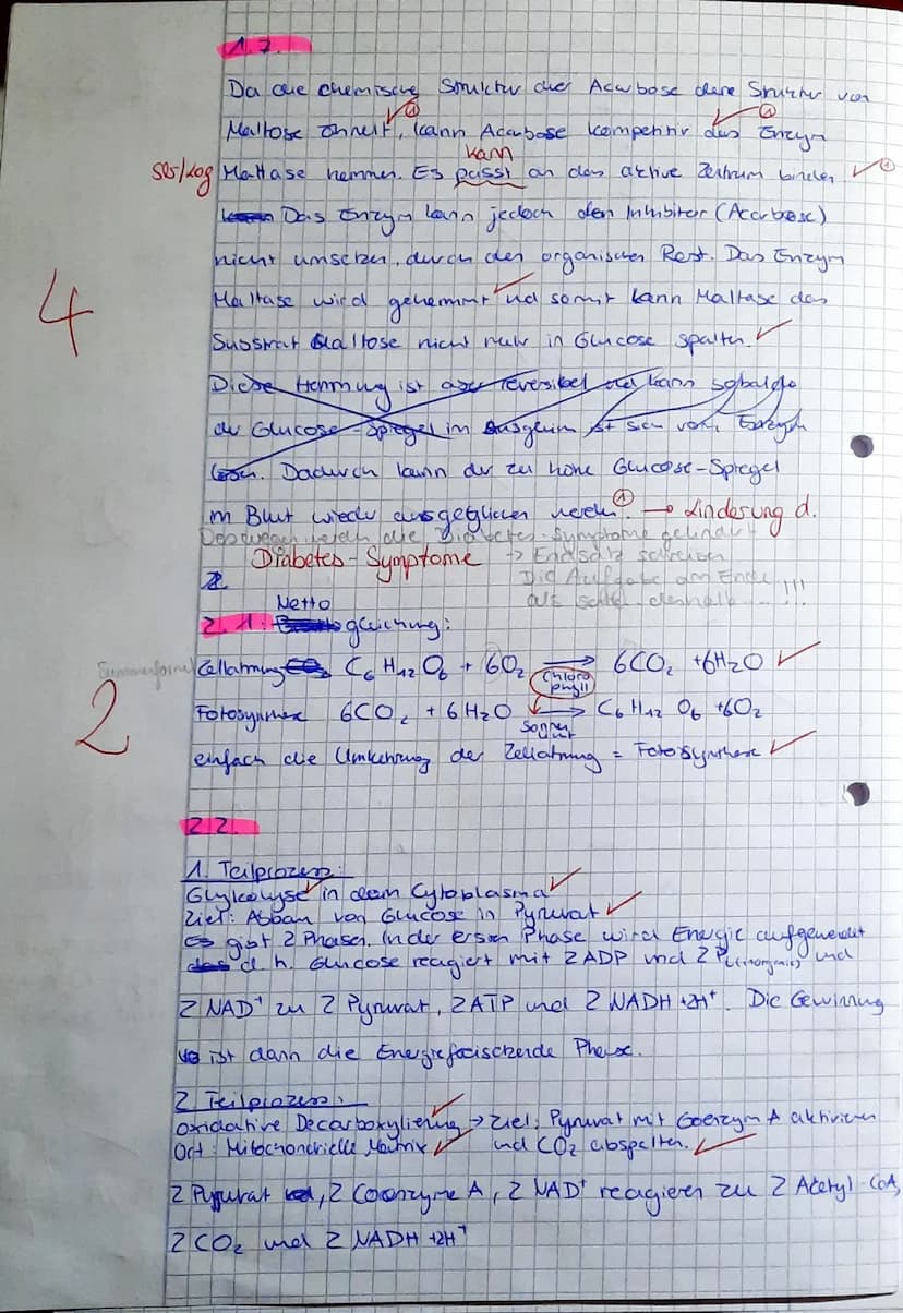 ))
K1 Biologie
Leistungsfach
Name Schüler*in:
Aufgabe 1
22 /25 VP
Ansatz
Nr.
123456
Wasser
+
+
+
Saran
+
1 Biokatalyse: Maltase
Bei der Verd