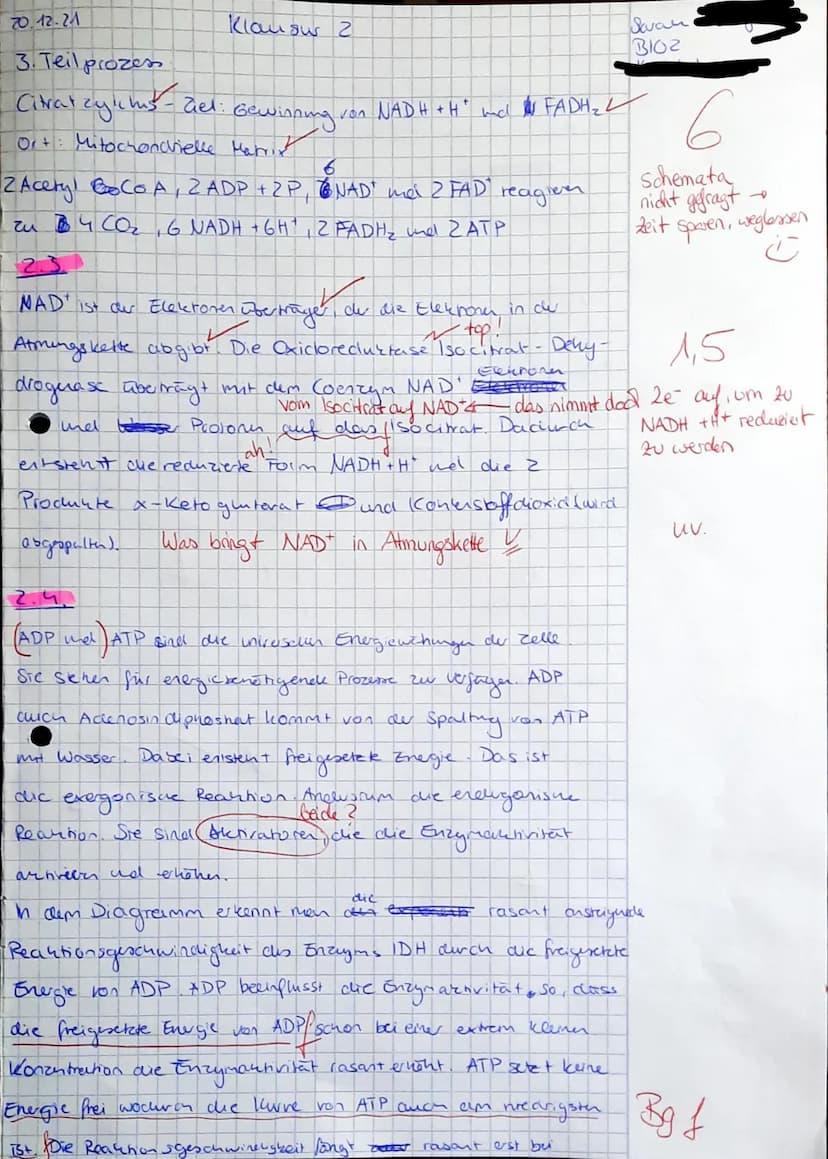 ))
K1 Biologie
Leistungsfach
Name Schüler*in:
Aufgabe 1
22 /25 VP
Ansatz
Nr.
123456
Wasser
+
+
+
Saran
+
1 Biokatalyse: Maltase
Bei der Verd