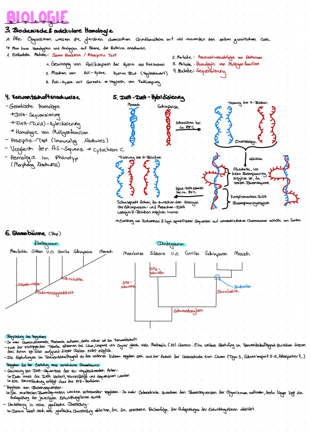 BIOLOGIE
1. Evolutionstheorien
1. Carl von Linne 1707-1778
-- beschrieb die damals bekannten Tierarten
2 einheitliche Benennung von Pflanzen