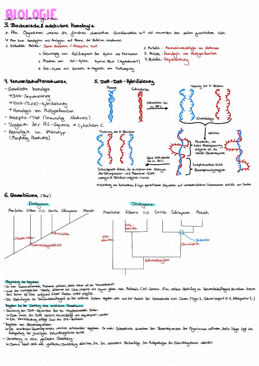 BIOLOGIE
1. Evolutionstheorien
1. Carl von Linne 1707-1778
-- beschrieb die damals bekannten Tierarten
2 einheitliche Benennung von Pflanzen