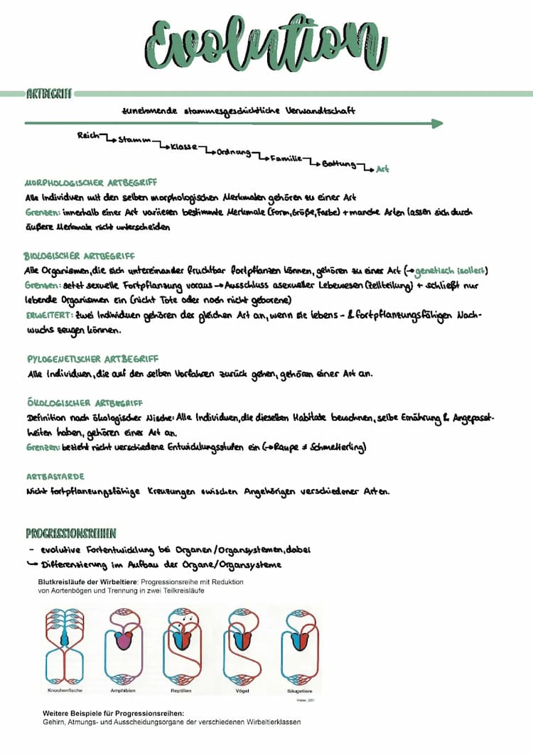 Know Evolution Abiturzusammenfassung (LK) thumbnail