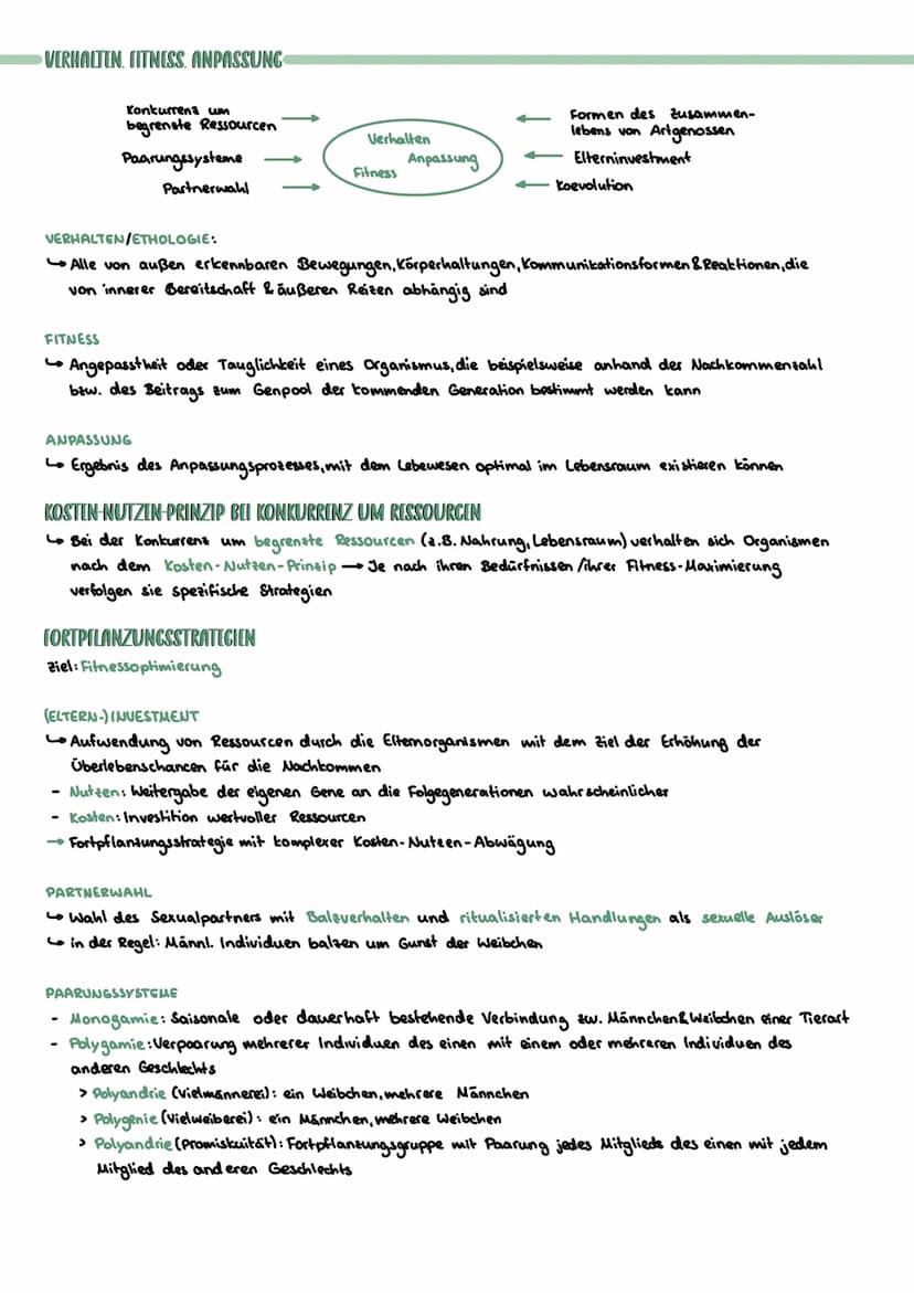 ARTBEGRIFF
Reich Stamm.
Evolution
zunehmende stammesgeschichtliche Verwandtschaft
MORPHOLOGISCHER ARTBEGRIFF
Alle Individuen mit den selben 