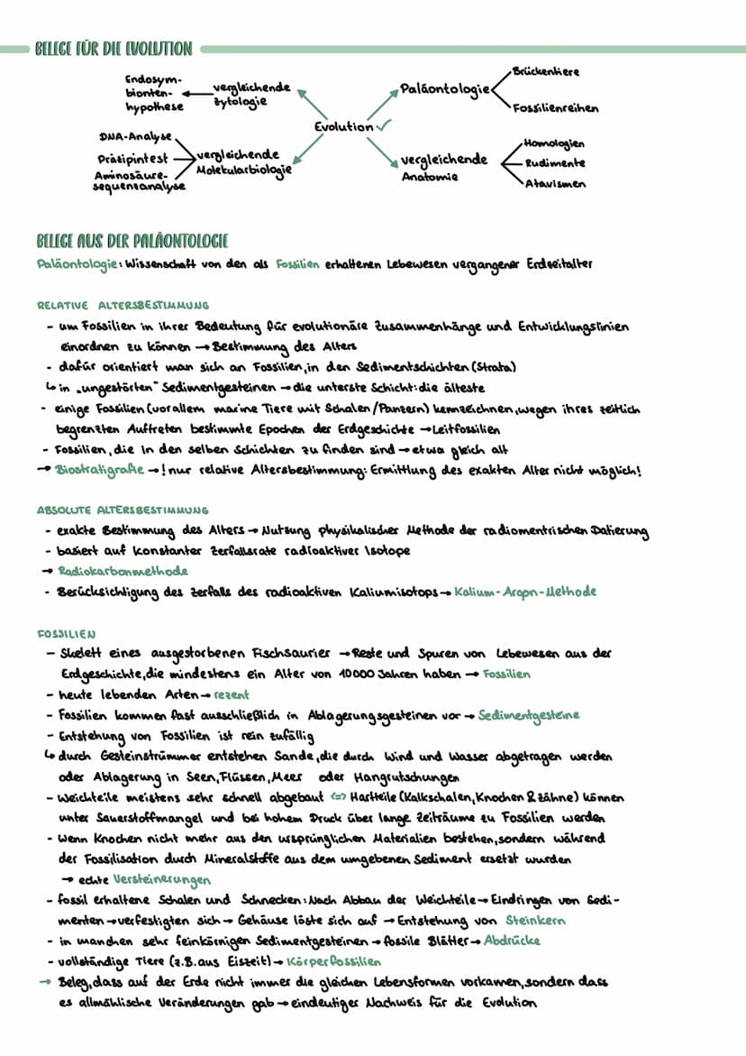 ARTBEGRIFF
Reich Stamm.
Evolution
zunehmende stammesgeschichtliche Verwandtschaft
MORPHOLOGISCHER ARTBEGRIFF
Alle Individuen mit den selben 