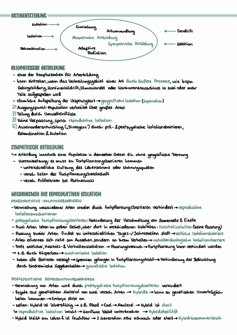 ARTBEGRIFF
Reich Stamm.
Evolution
zunehmende stammesgeschichtliche Verwandtschaft
MORPHOLOGISCHER ARTBEGRIFF
Alle Individuen mit den selben 