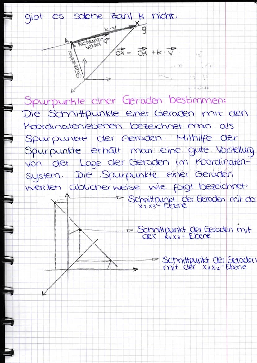 VEKTOREN,
GERADEN &
WINKEL
IM RAUM
Lage von Punkten im Raum:
Koordinatensystem:
Ebenen:
Ax3-Achse
ursprung
Ex-Achse
X₁X3-Ebene
4x3-Achse
-Ac
