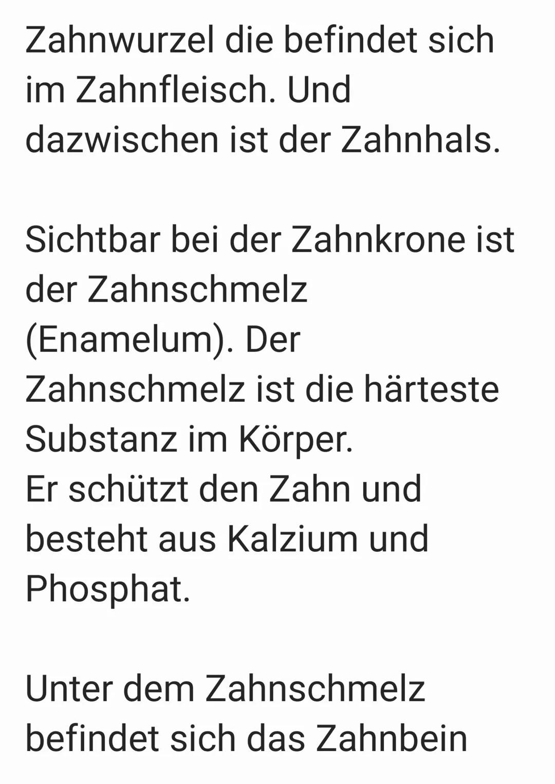 Im Mund befinden sich 32
Zähne. Die Aufgaben sind:
Nahrung verkleinern und
sprechen. Wichtig sind die
Zähne beim S Laut.
W
Zahnschmelz
Zahnb
