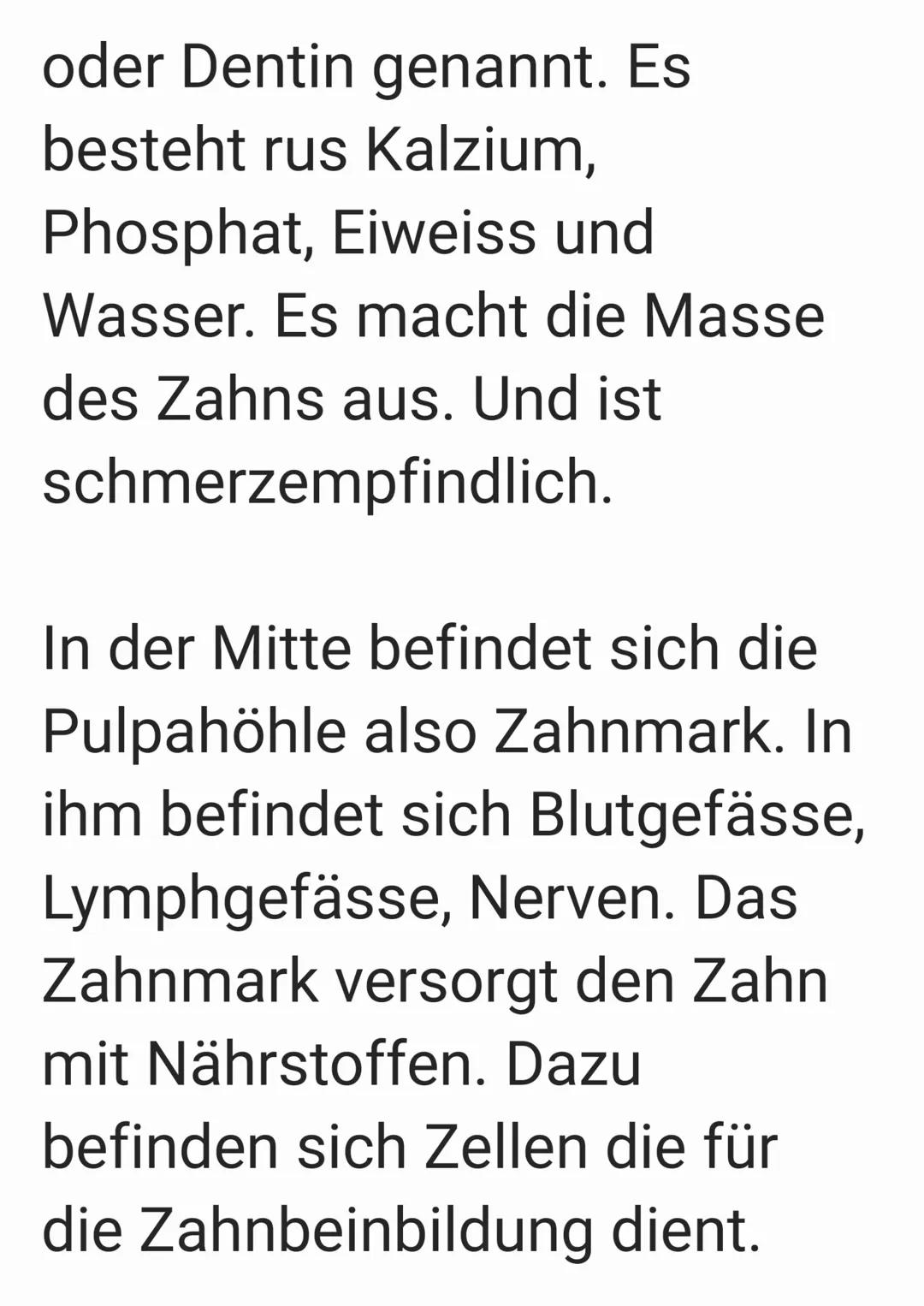 Im Mund befinden sich 32
Zähne. Die Aufgaben sind:
Nahrung verkleinern und
sprechen. Wichtig sind die
Zähne beim S Laut.
W
Zahnschmelz
Zahnb