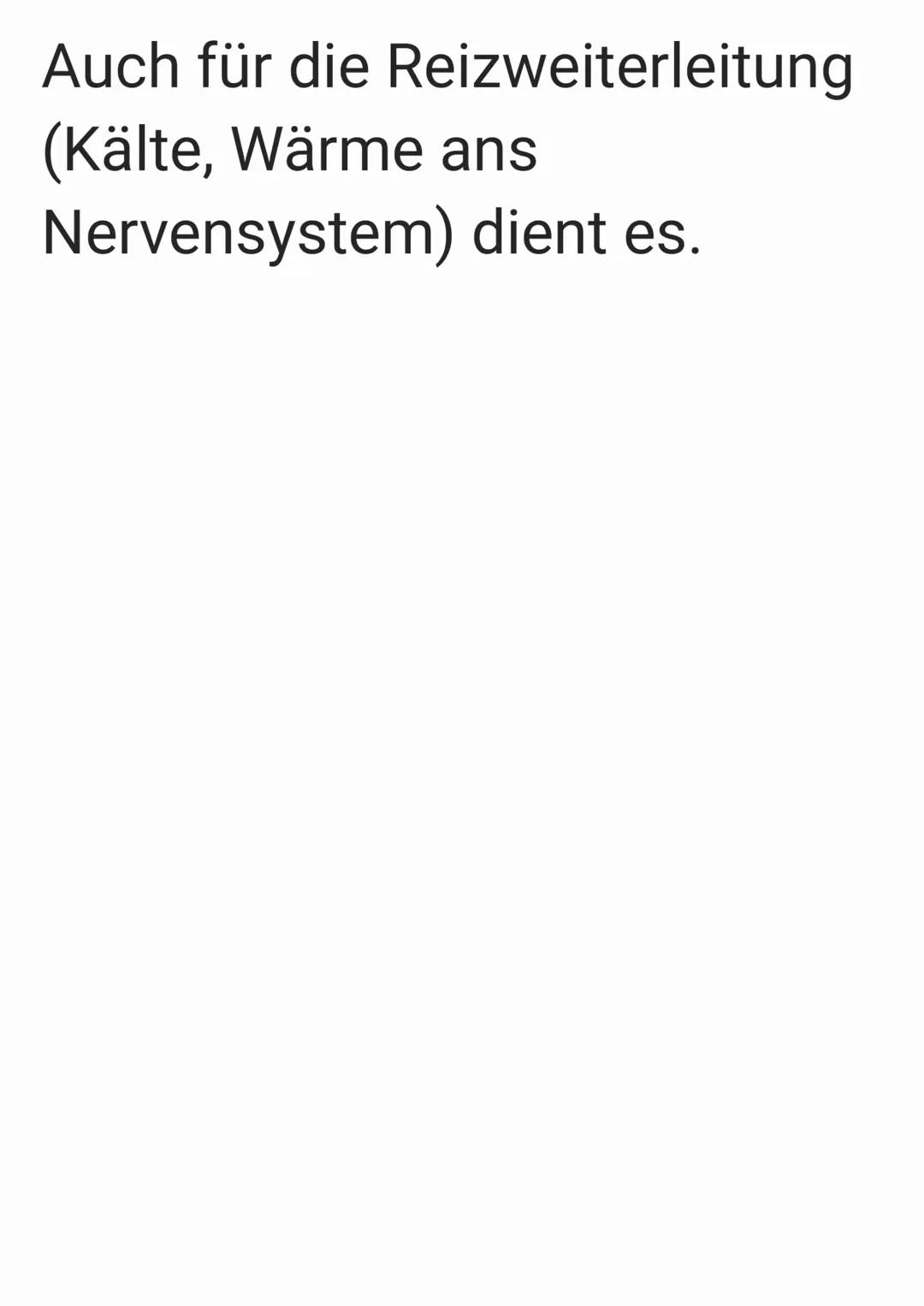 Im Mund befinden sich 32
Zähne. Die Aufgaben sind:
Nahrung verkleinern und
sprechen. Wichtig sind die
Zähne beim S Laut.
W
Zahnschmelz
Zahnb