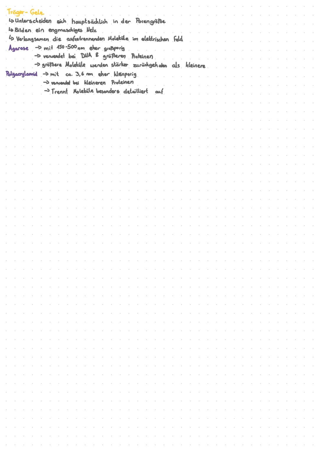 # Gelelektrophorese

L↳ Analyseverfahren zur Trennung von Molekülen, z. B. DNA, RNA & Proteine

Lo Die zu trennenden Molatiile bevegen sich 