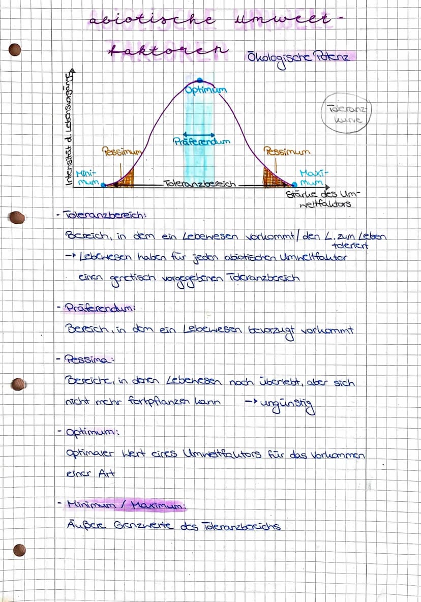 Intensität d. Lebensvorgänge
abiotische
faktoreh
Minit
mum,
Pessimum
-Toleranzbereich:
Optimum
Präferendum
umweet
-Toleranzbereich
einer Art