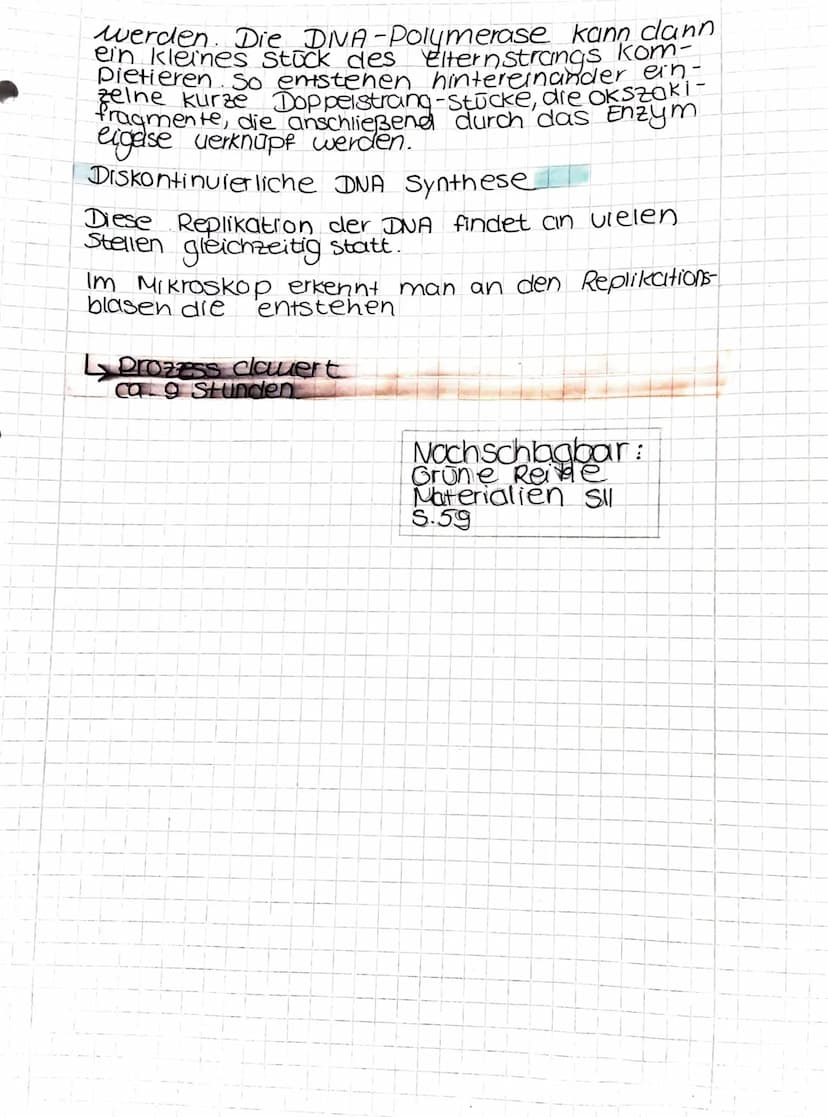 C
dná
1.
3.
4.
3'
6
5.
3'
5'
Der DNA-Strang ist Anti-parallel angeordnet.
Es bestent emne kontunuirliche DNA new
Synthese.
L> Worlage zur
Bi