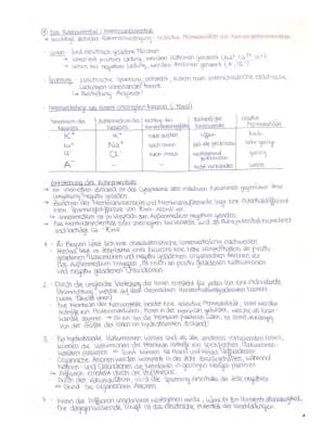 Know Das Ruhepotential/Membranpotential thumbnail