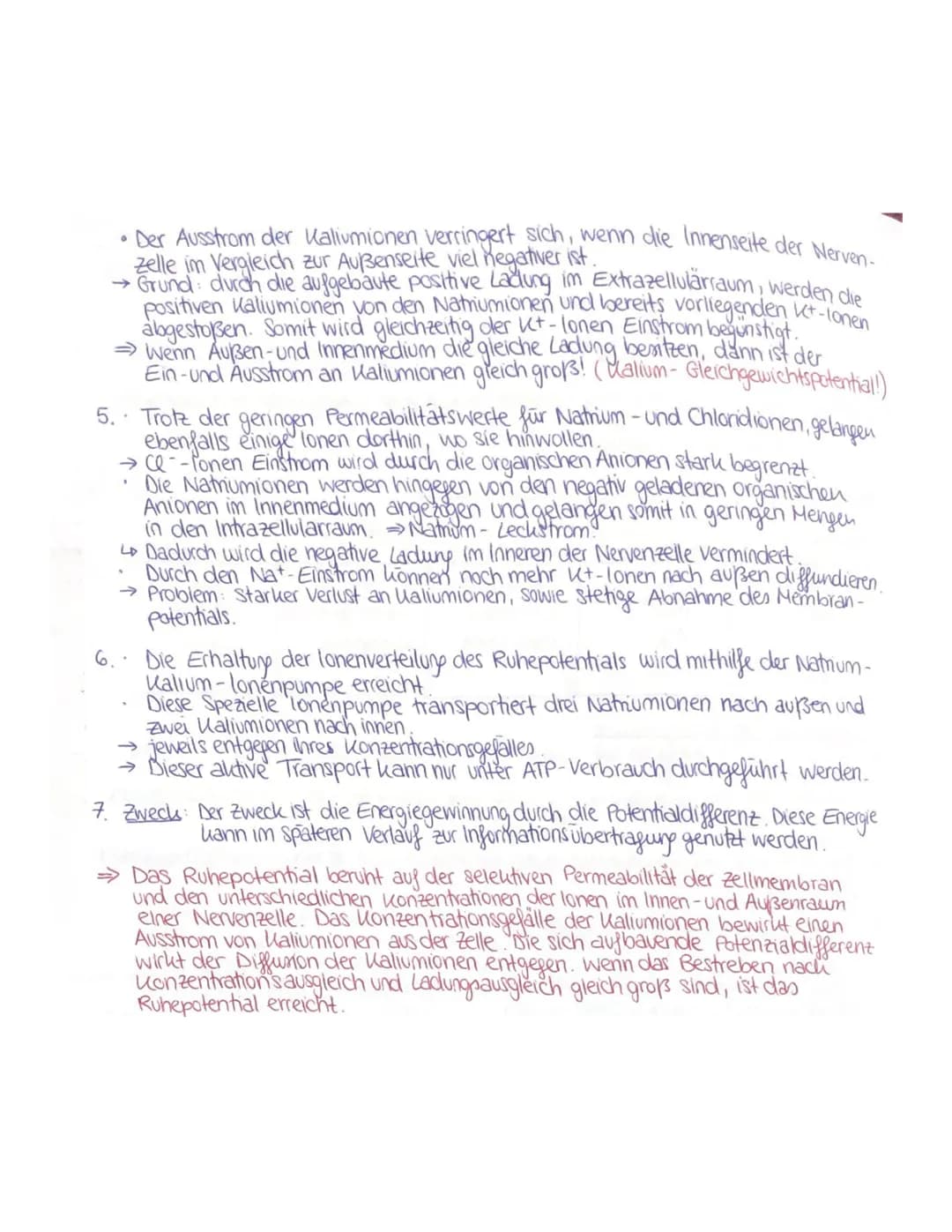 4 Das Ruhepotential/Membranpotential:
wichtige zelluläre Rahmenbedingung, selektive Permeabilität der Nervenzellenmembran.
·lonen. Sind elek