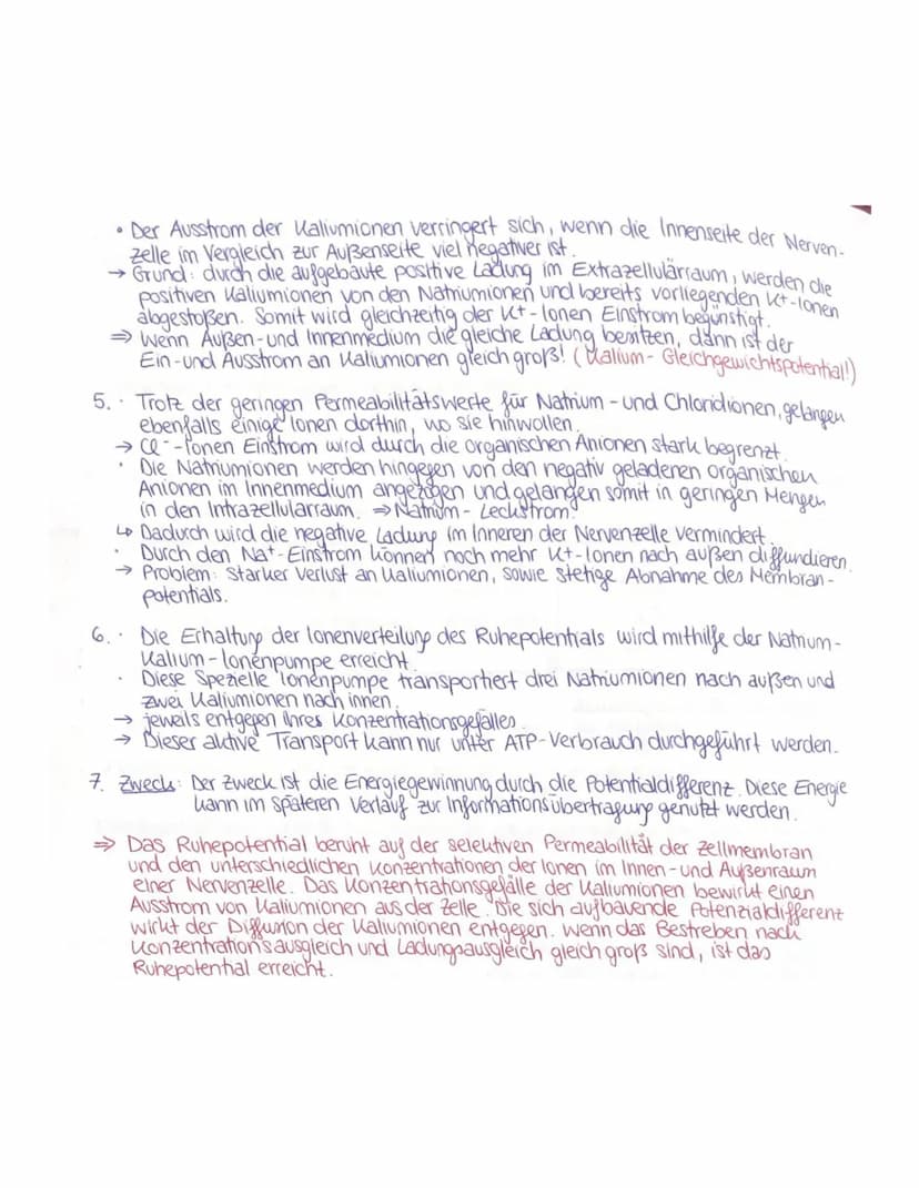 4 Das Ruhepotential/Membranpotential:
wichtige zelluläre Rahmenbedingung, selektive Permeabilität der Nervenzellenmembran.
·lonen. Sind elek