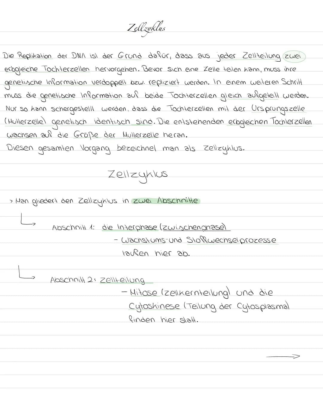 Zellzuklus
Die Replikation der DNA isl der Grund dafür, dass aus jeder Zellteilung zwei
erbgleiche Tochterzellen hervorgehen. Bevor sich ein