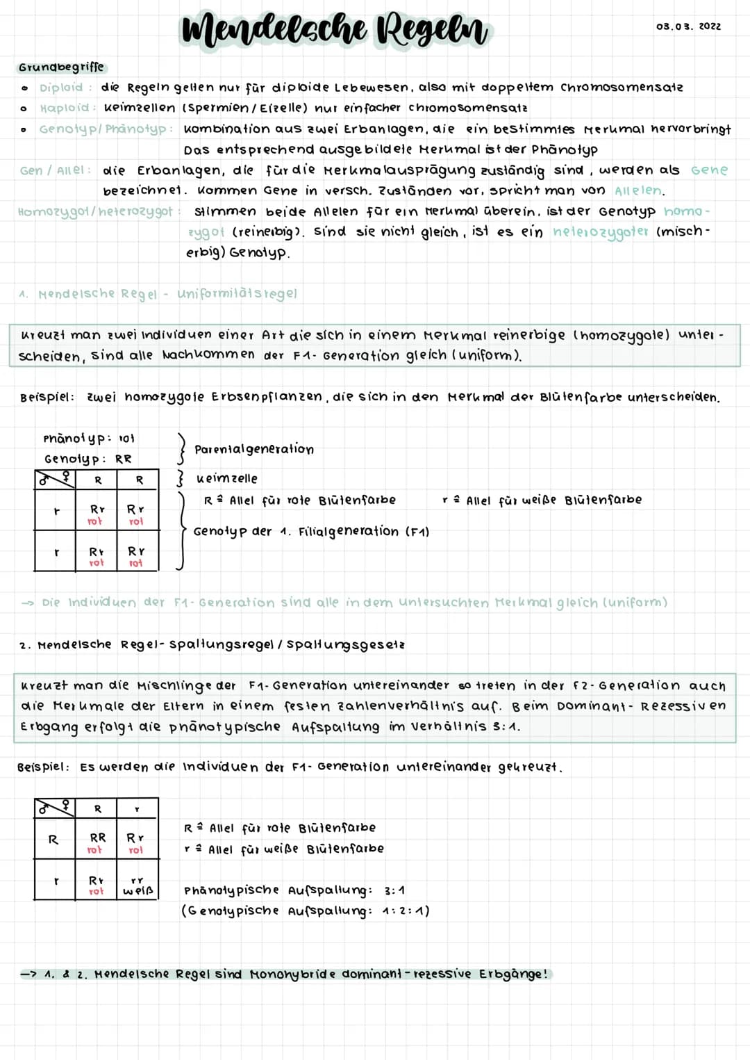 S-Phase
G2-Phase
Interphase
G1- Phase
S-Phase
O G2-Phase
S-Phase
0
O
G
Interphase
Zellzyklus
O
Mitose
DNA-Replikation (Verd opplung der
DNA 